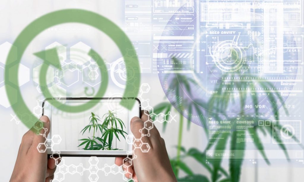 Cannabis Technology