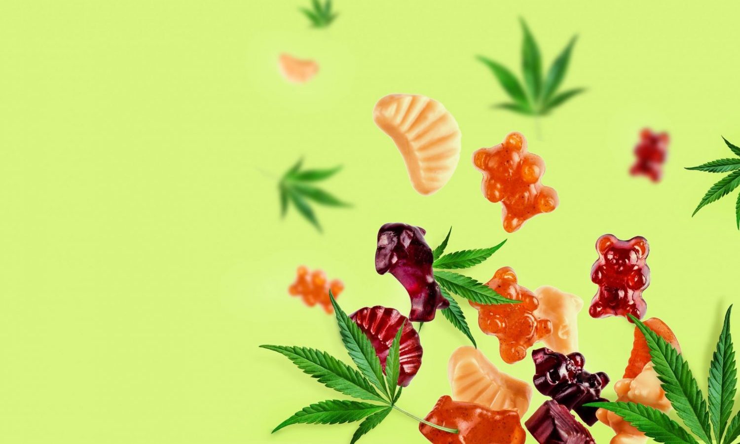marijuana edibles candy