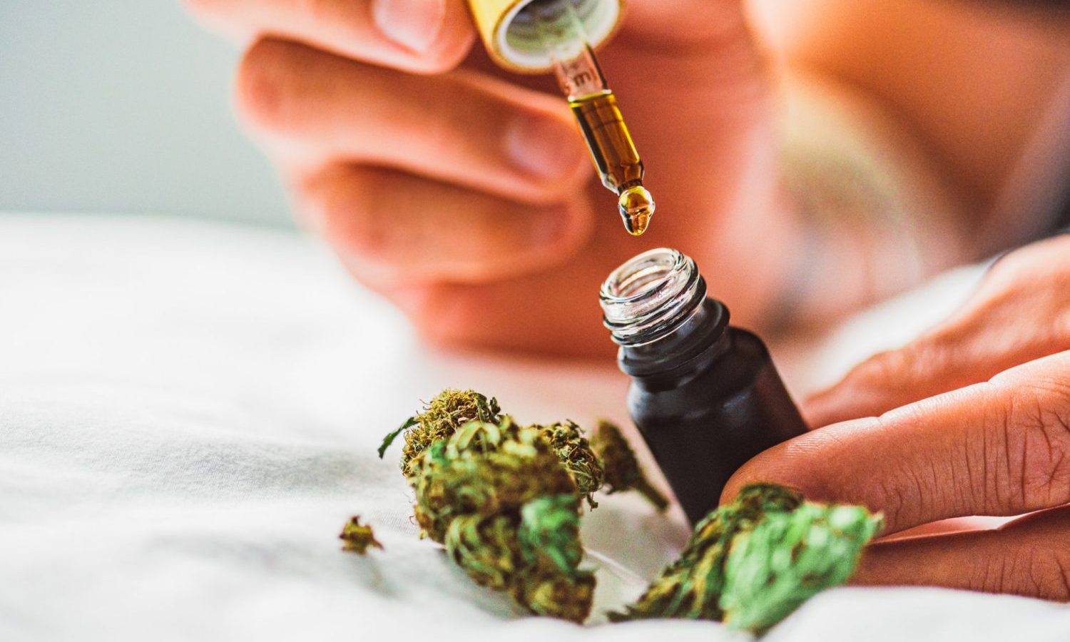 Beyond CBD And THC: The Hottest Cannabinoids And Terpenes You Should Know