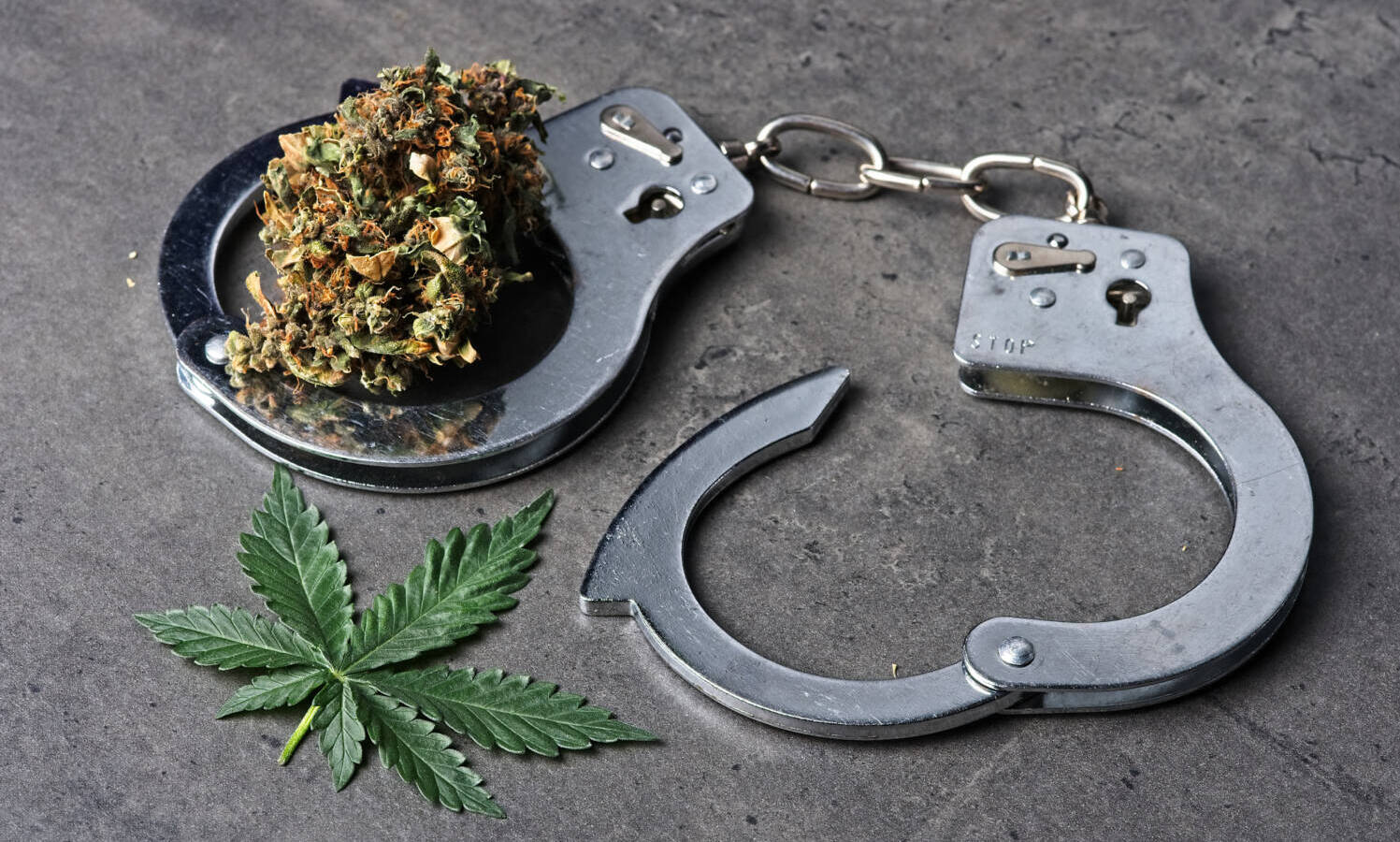 marijuana arrest