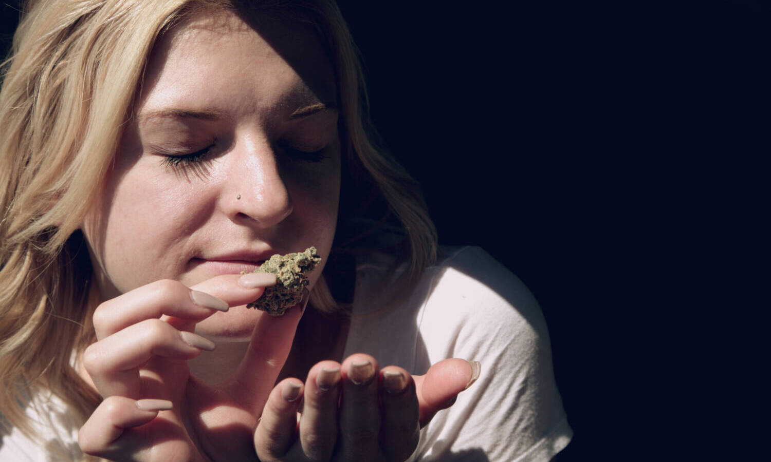 cannabis smell terpenes