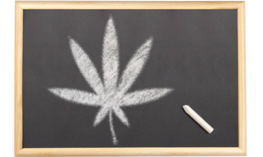 marijuana education