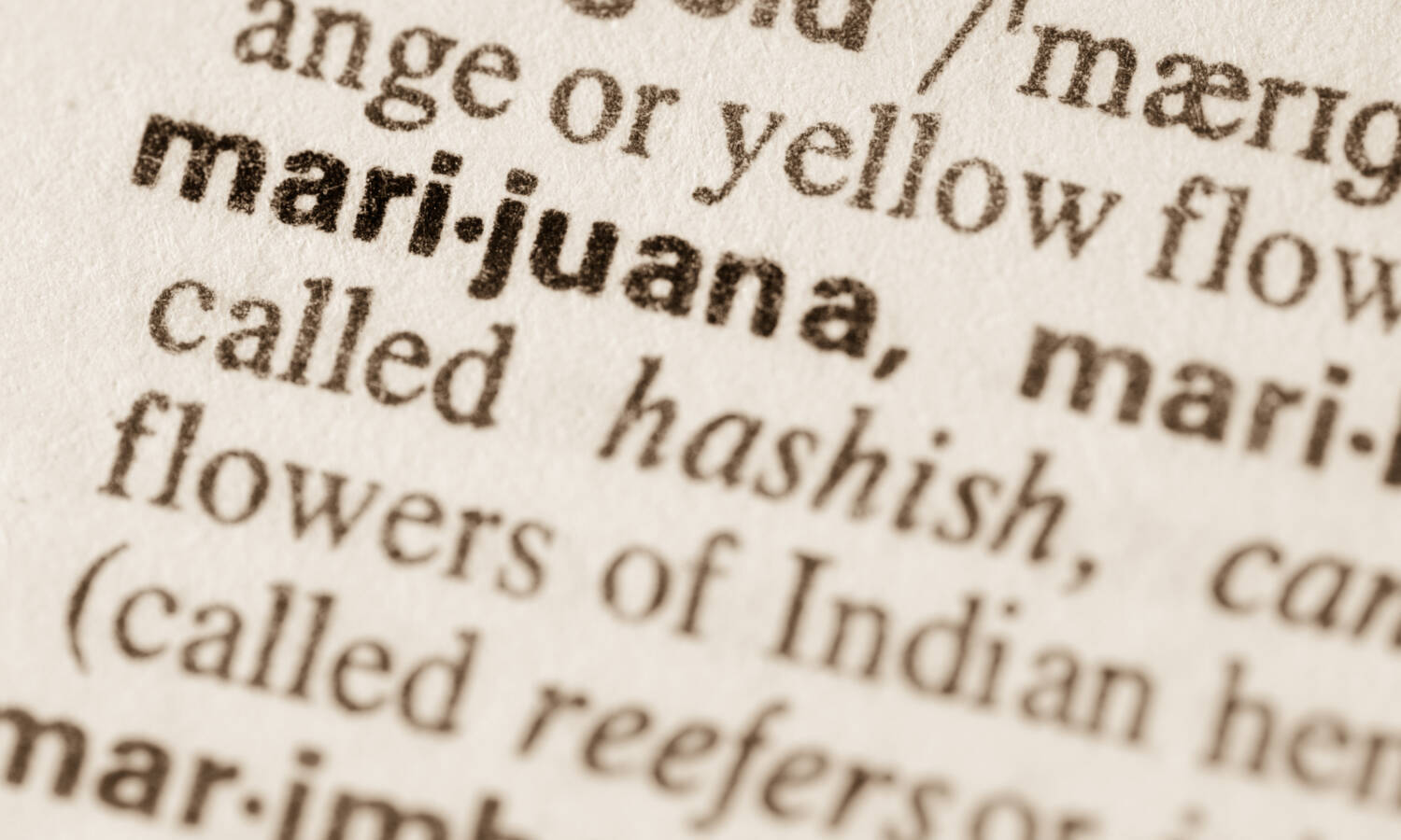 marijuana definition