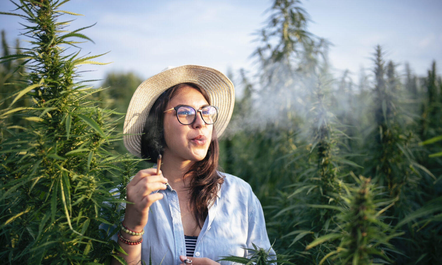 6 Cannabis Experiences You Can Be A Part Of In Legal States