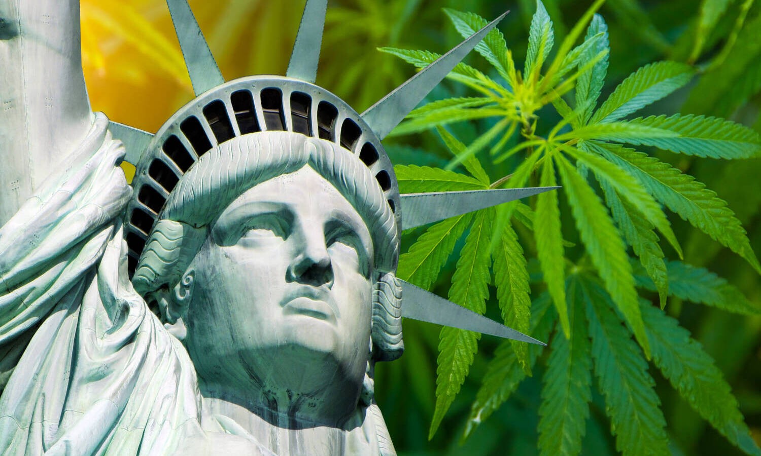 New York cannabis
