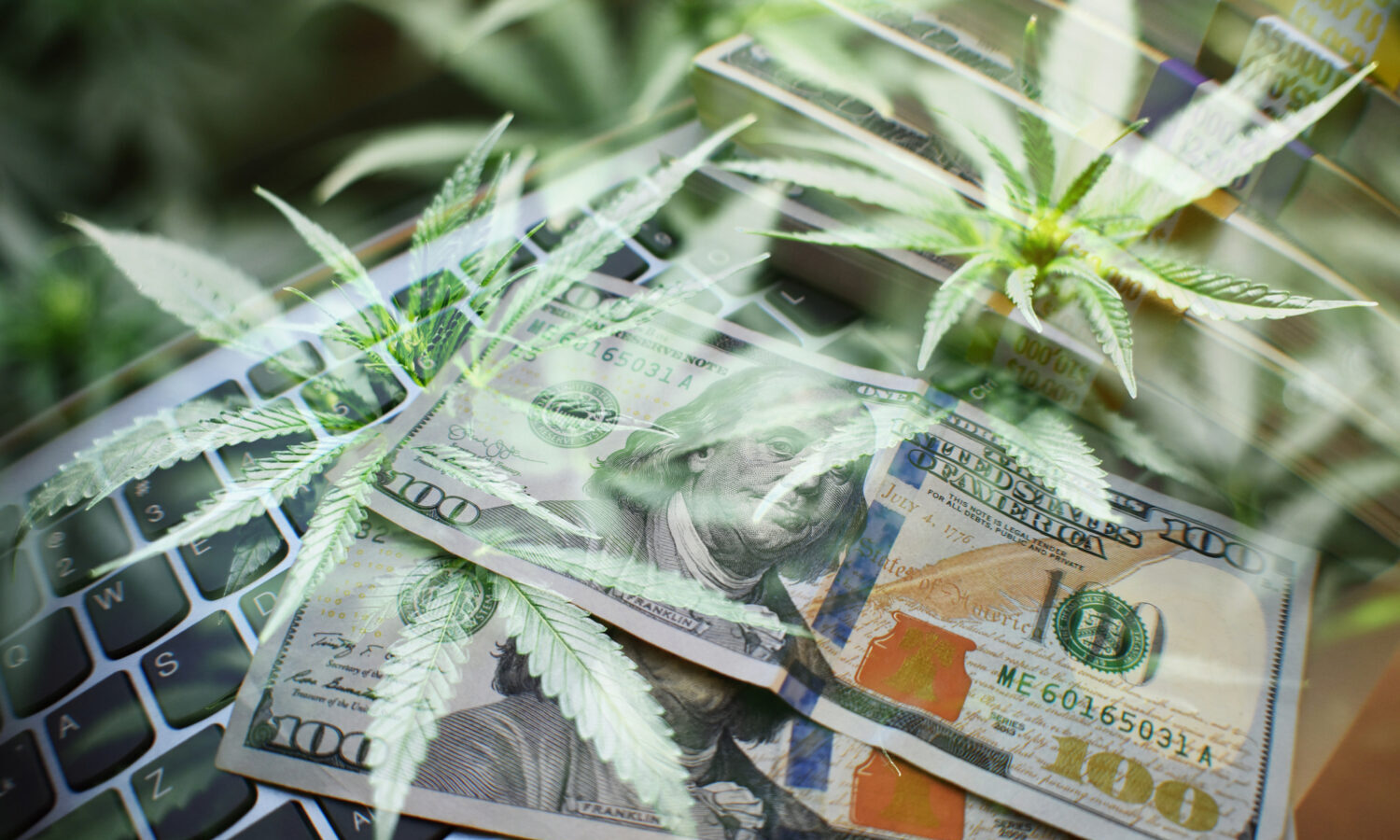 marijuana investing
