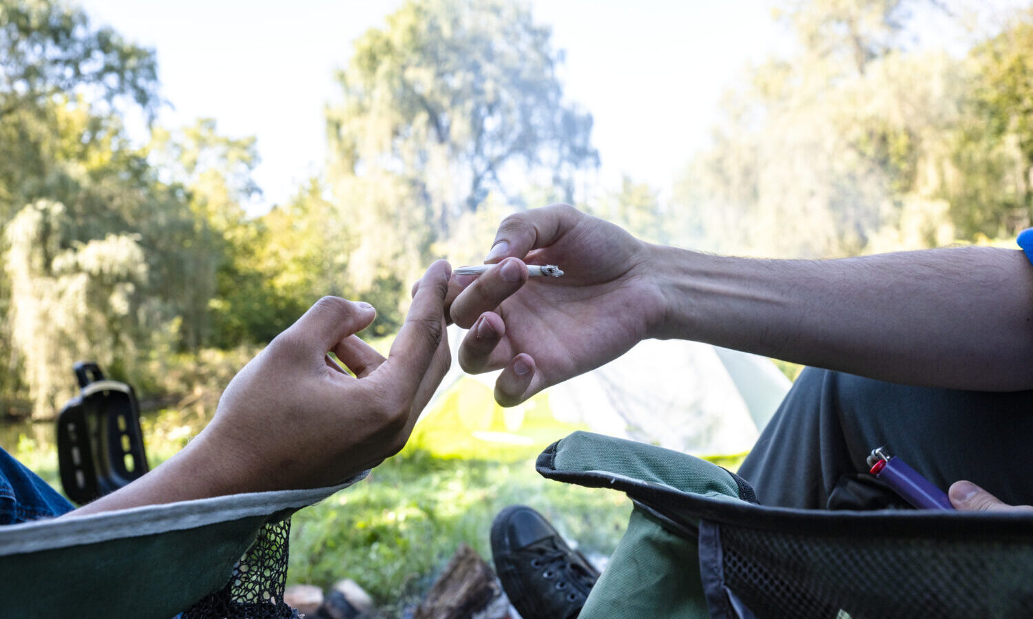 camping marijuana