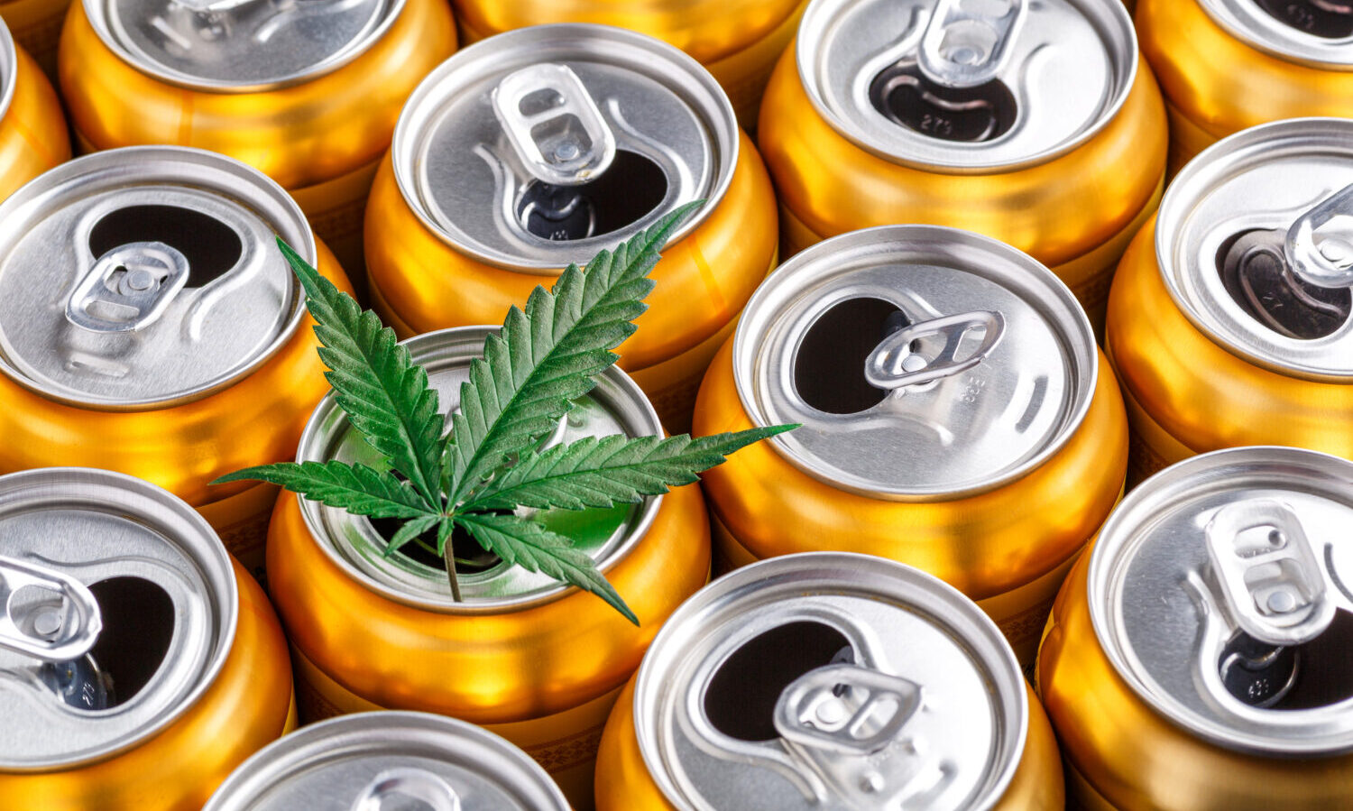 cannabis beverages