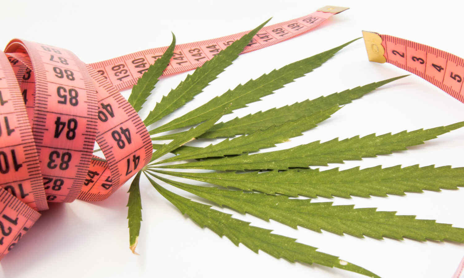 cannabis weight loss