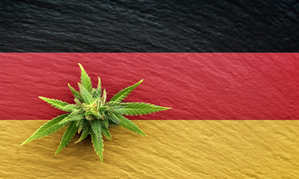 Germany's First Cannabis StartUp Lists On Frankfurt Stock Exchange Ahead Of Legalization