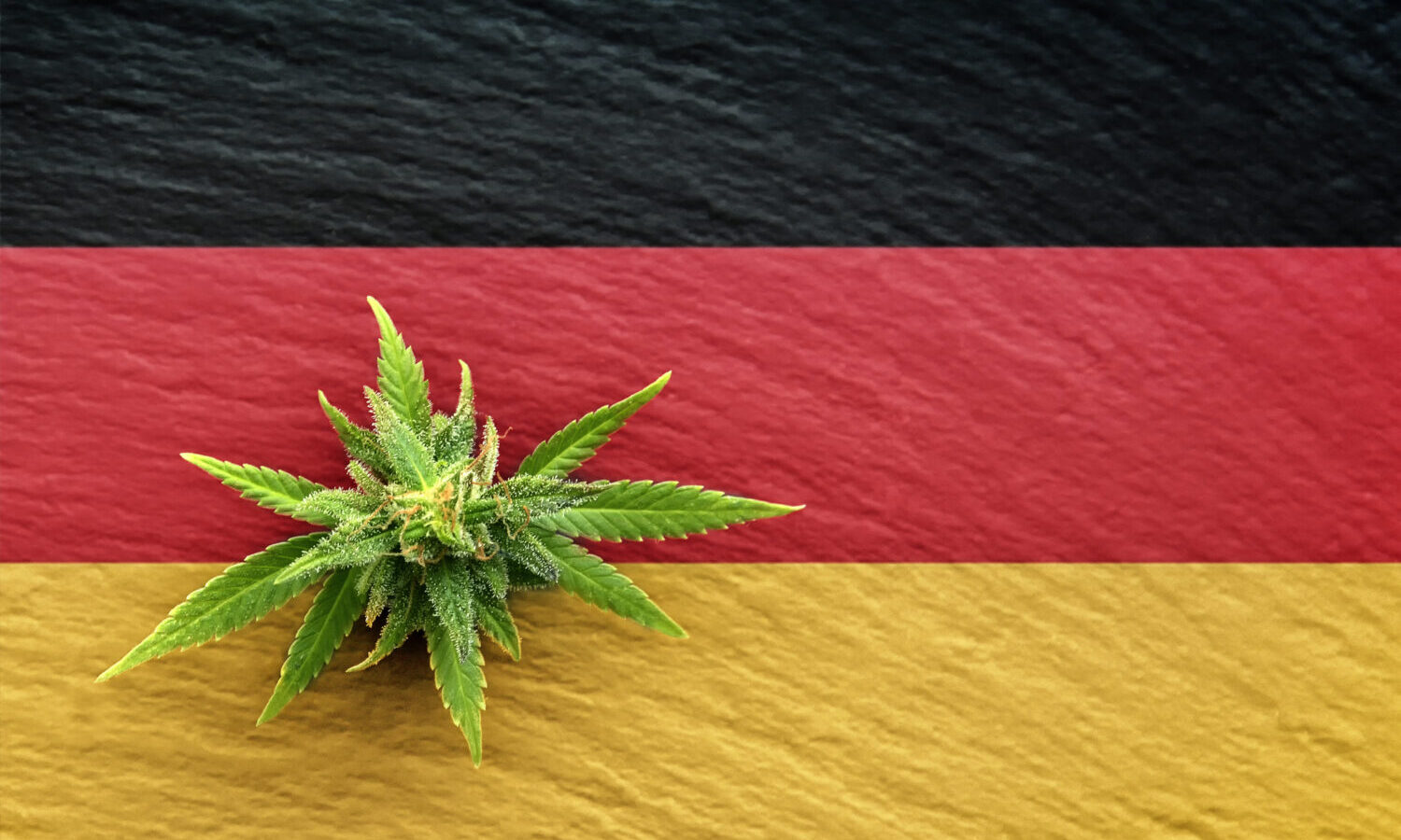 germany cannabis