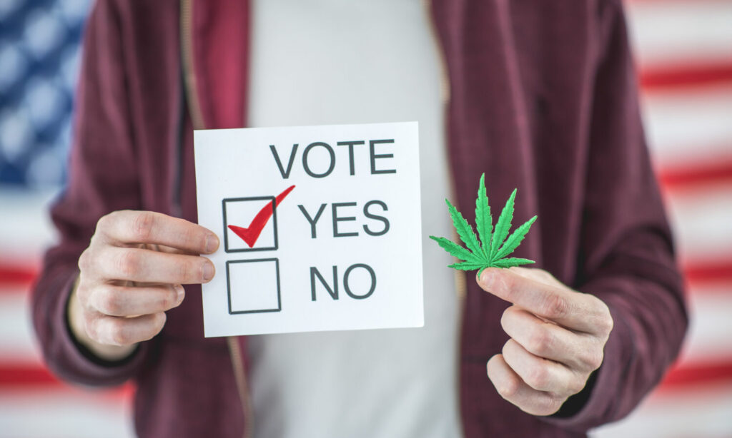 Cannabis Measures That Passed The Midterms That You Might Not Know ...