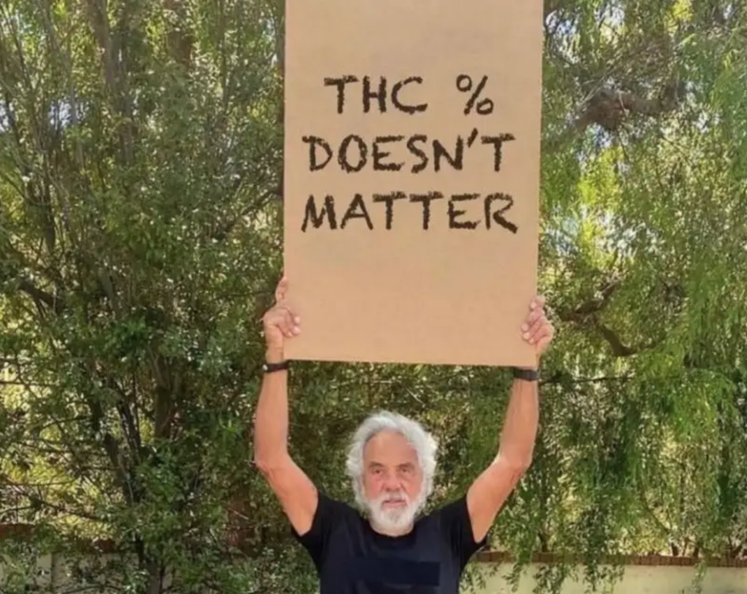 tommy chong