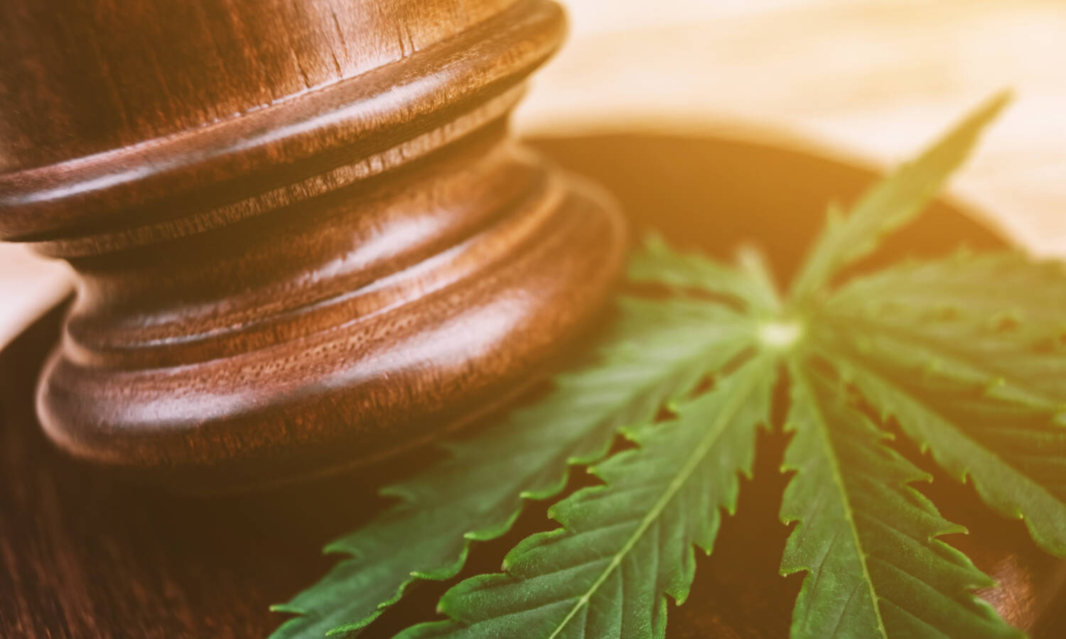 legal marijuana courts