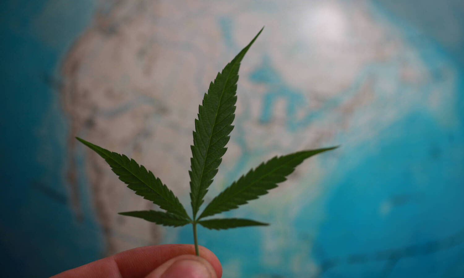 global marijuana legalization
